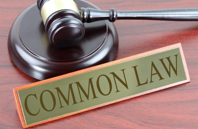 Common Law Kindergarten Part 1  Will Keyte