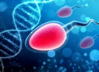 Male Fertility Declining At An Accelerated Pace Study Shows